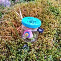 Petits pots féeriques
